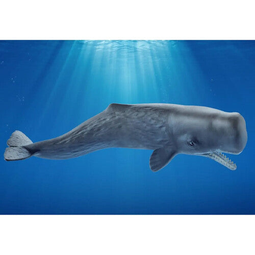 schleich wild life potvis - 23,5 cm | 14764 | 2