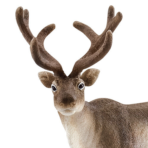 schleich wild life rendier - 13 cm    | 14837 | 1