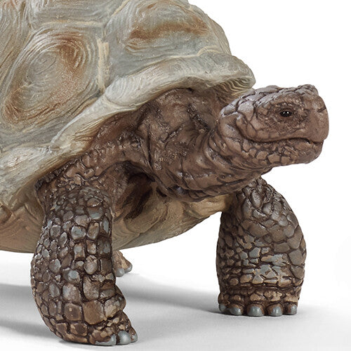 schleich wild life reuzenschildpad - 8 cm | 14824 | 1