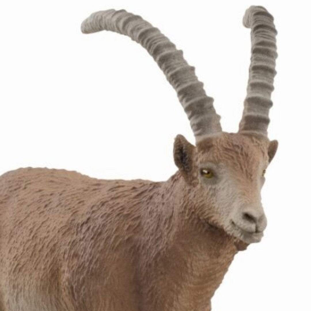 schleich wild life steenbok - 9,5 cm | 14873 | 1