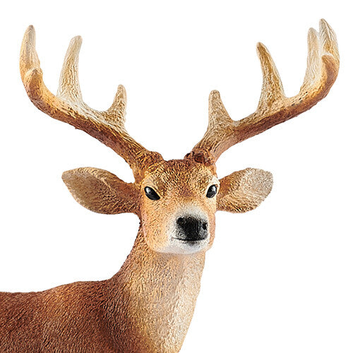 schleich wild life witstaarthert - 10,5 cm | 14818 | 1