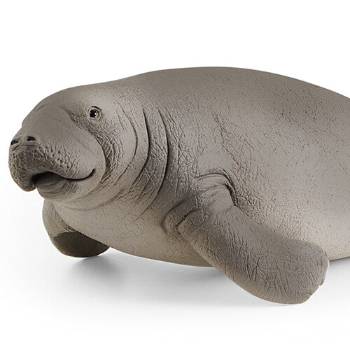 schleich wild life zeekoe - 16 cm | 14839 | 1