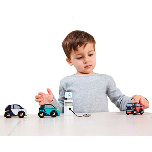 tender leaf toys elektrische auto's met laadpaal | 4608373 | 3