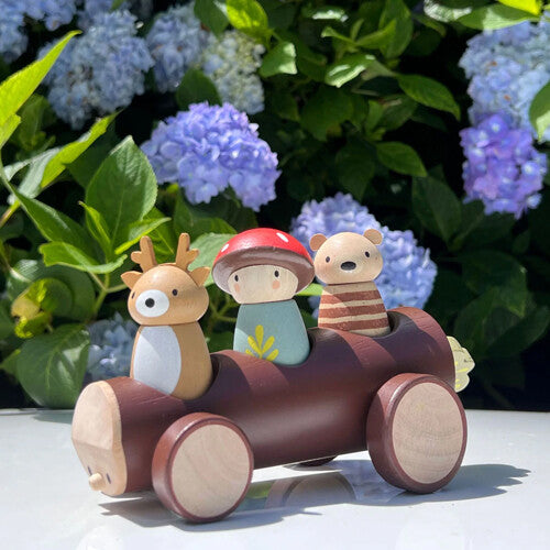 tender leaf toys taxi bosdieren | 4608386 | 4