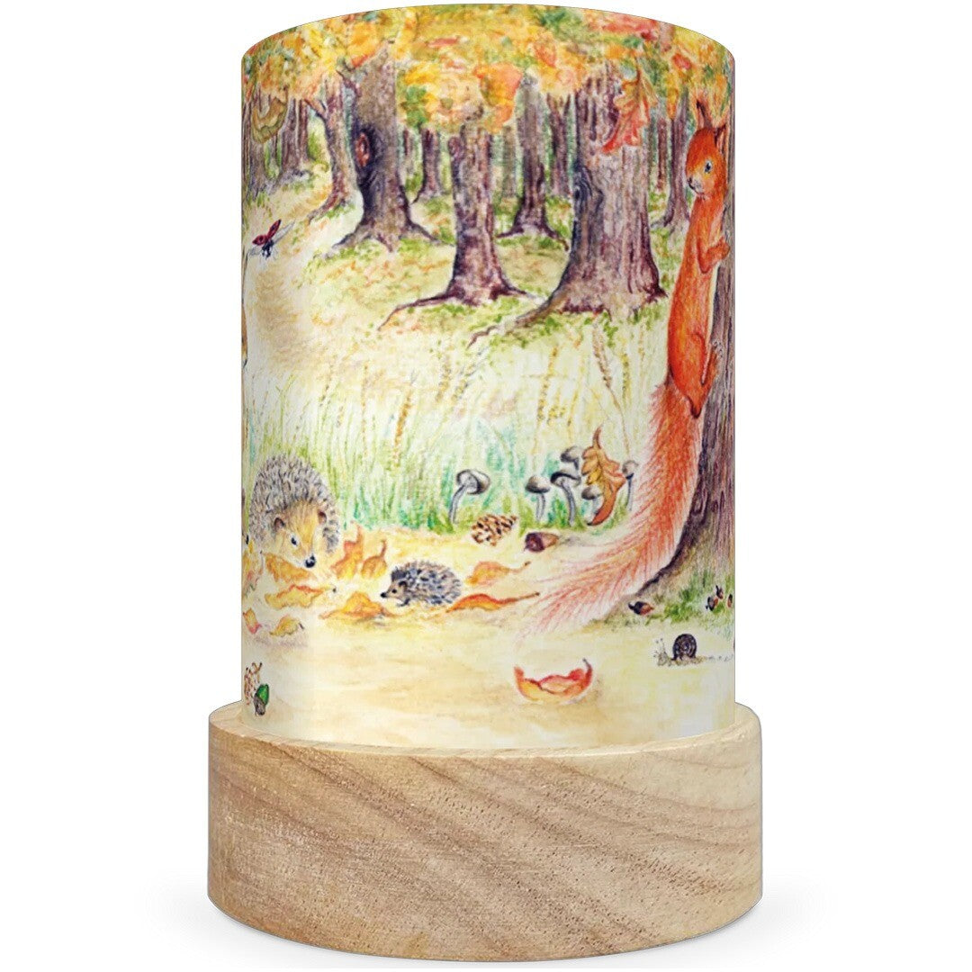 toverlux lichtkaarten voor lantaarn - eentje van margo - 5st | TS-SET-EVM | 3