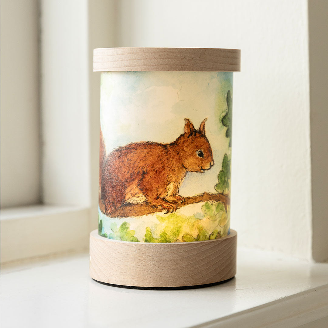 toverlux lichtkaarten voor lantaarn - bosdieren - 5st | TS-SET-EVMA | 3