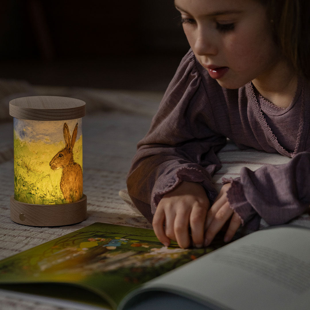 toverlux lichtkaarten voor lantaarn - bosdieren - 5st | TS-SET-EVMA | 4