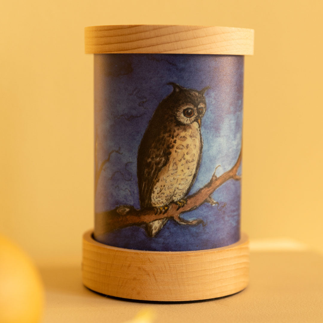 toverlux lichtkaarten voor lantaarn - bosdieren - 5st | TS-SET-EVMA | 5