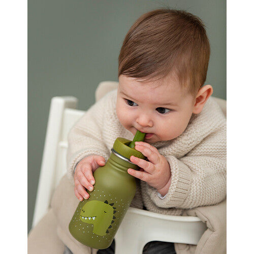 trixie rvs drinkfles mr. dino - 350 ml | 40-201 | 4