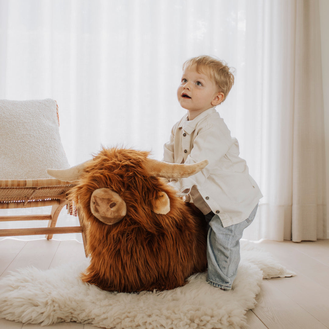 wild & soft skippydier schotse hooglander | WS4853 | 1