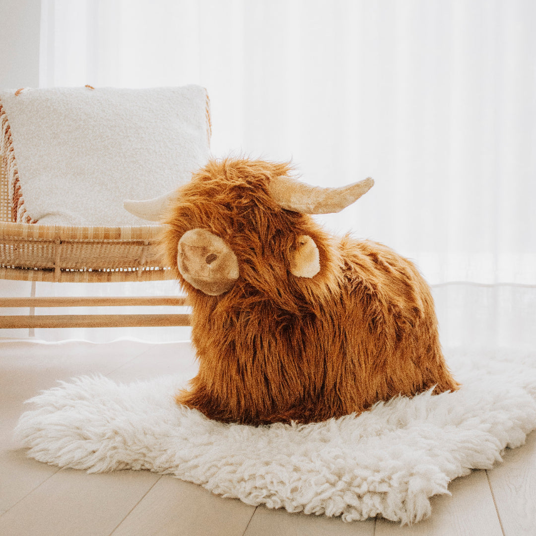 wild & soft skippydier schotse hooglander | WS4853 | 6